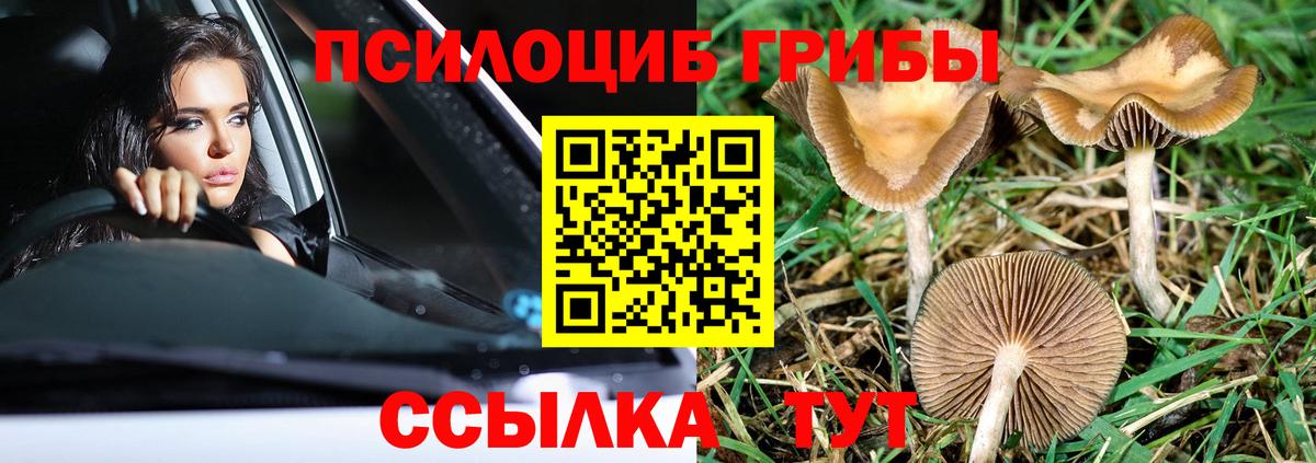 Псилоцибиновые грибы прущие грибы  Вход с VPN  даркнет сайт  Котлас 